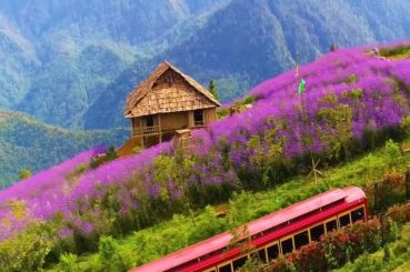 Pakej Hanoi+ Sa Pa+ Halong Bay