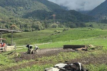 PAKEJ KUNDASANG 2026