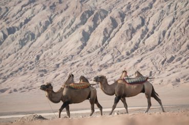 Pakej 9 Silk Road China