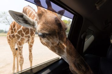 PAKEJ BANGKOK KANCHANABURI