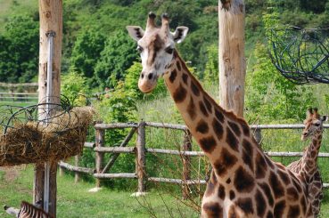PAKEJ BANGKOK KANCHANABURI